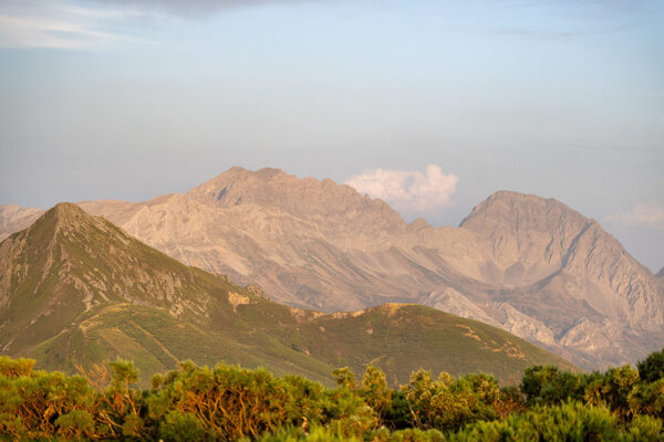 cantabrian chamois sightings in spain cantabrian mountains photo expedition wild animals