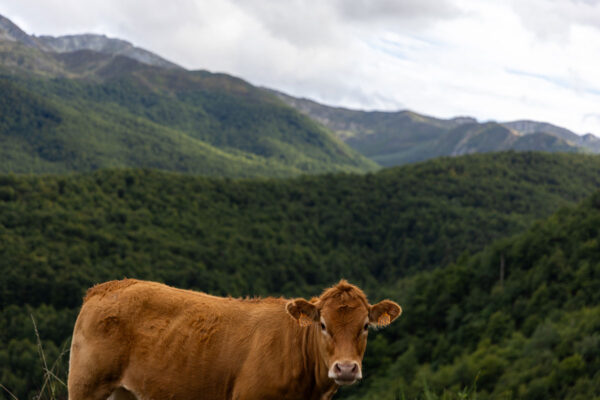 mountain tourism in spain