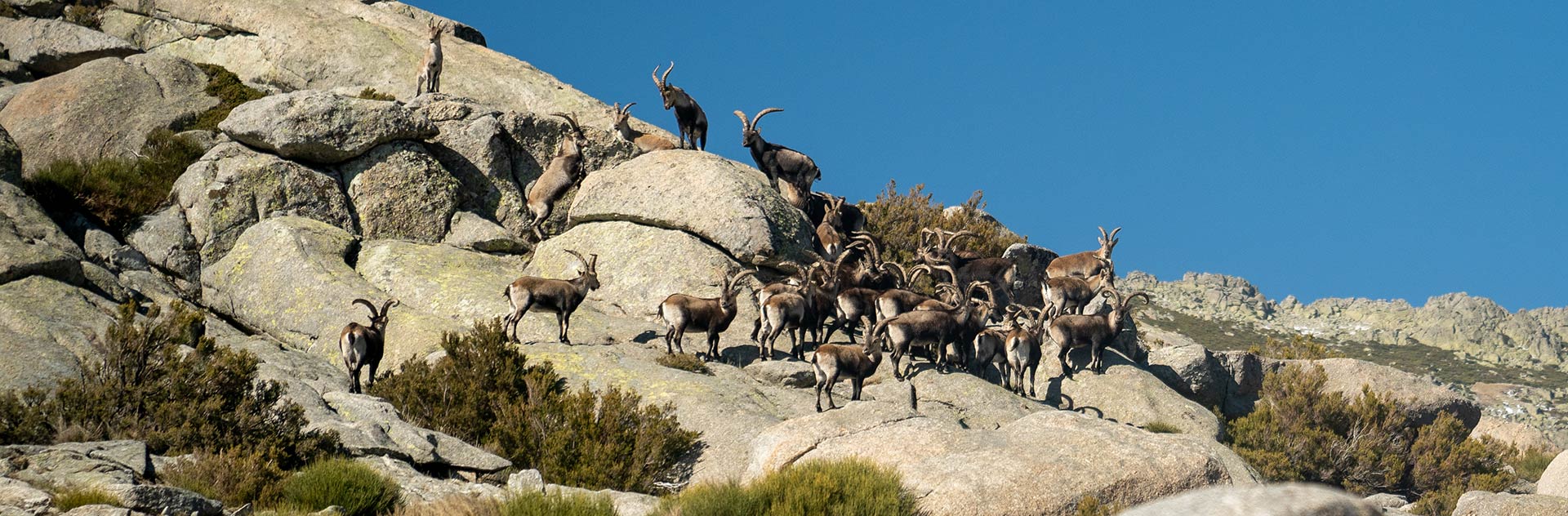 MOUNTAIN EXPERIENCES IN GREDOS