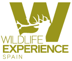 Wildlife Experience in Spain. Wildlife Sighting in Spain