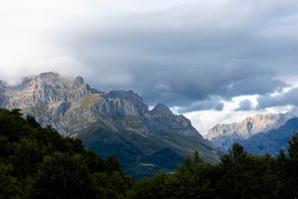 wildlife sighting in ancares guided routes hiking safaris in spain